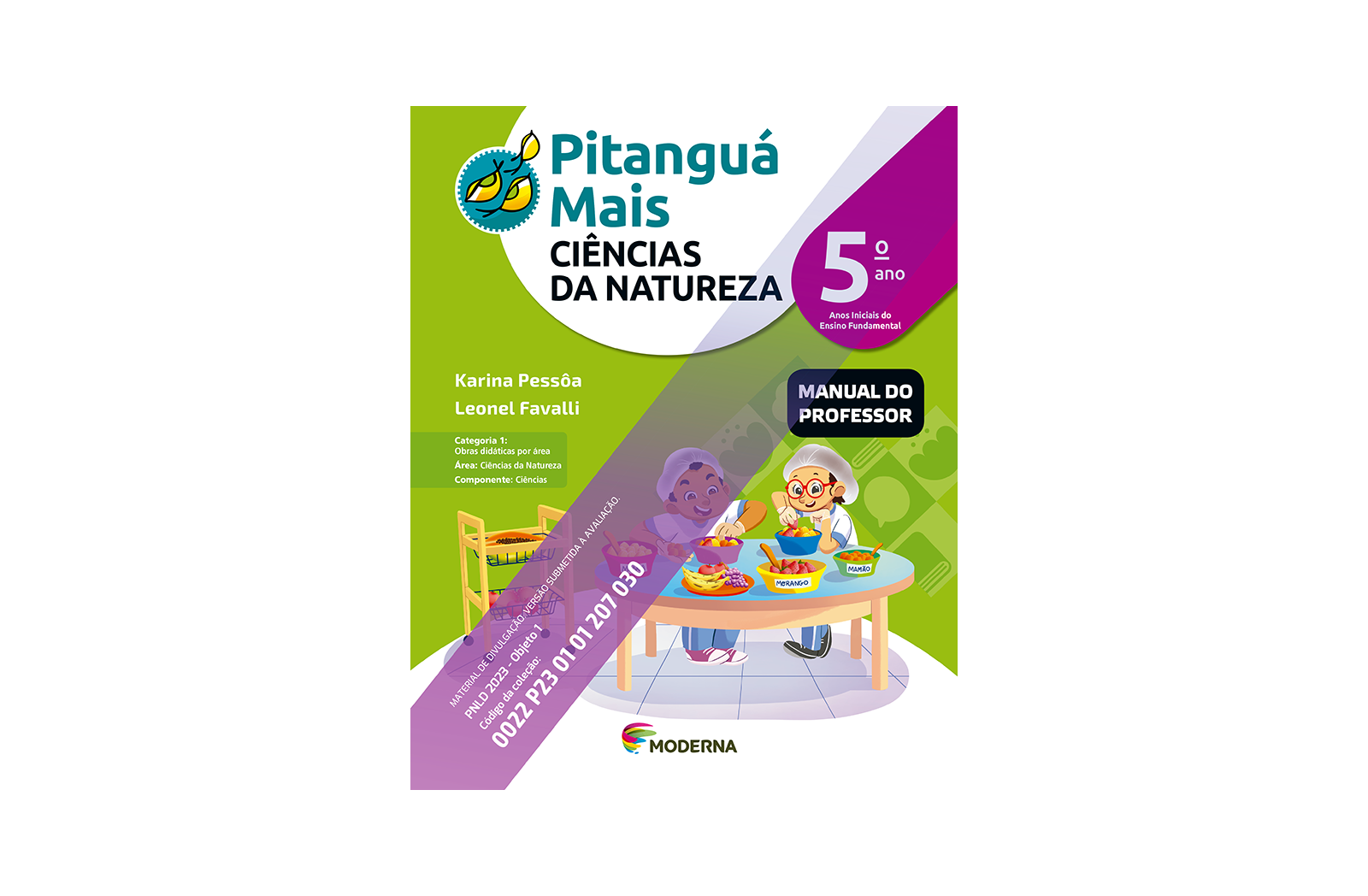 Imagem principal do livro